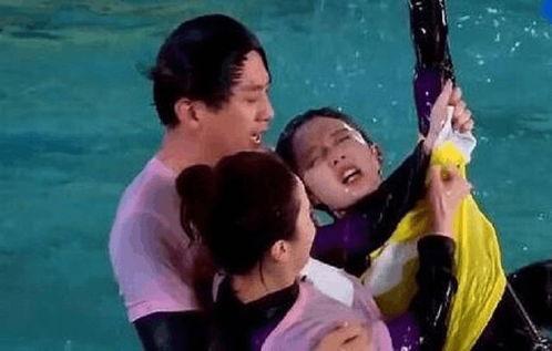 邓超爆料海豚视频下载,海豚视频下载背后的秘密 第2张 邓超爆料海豚视频下载,海豚视频下载背后的秘密 第2张